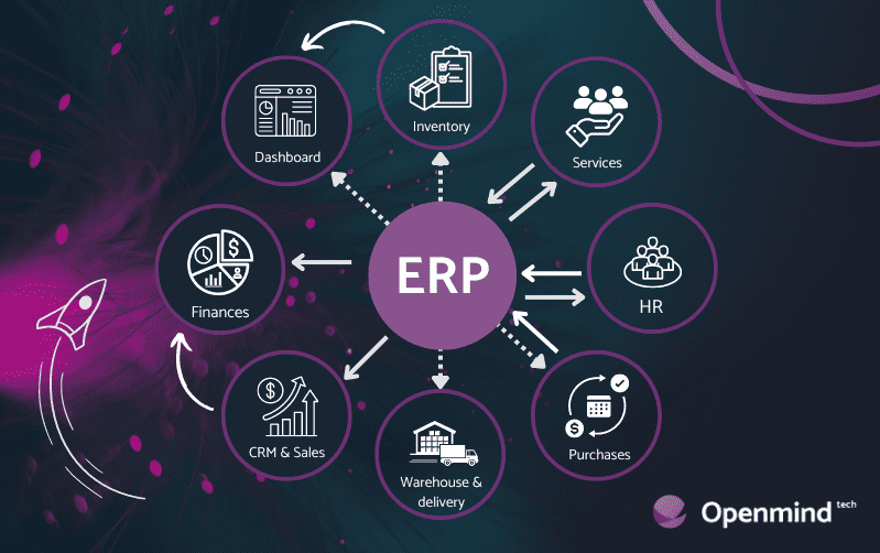 erp optimization for business